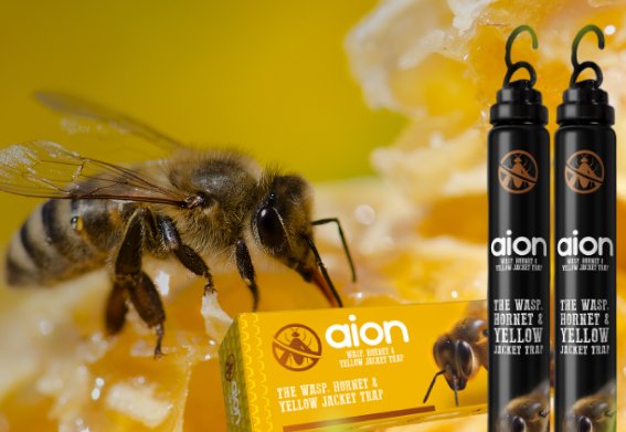 WASP, HORNET & YELLOW JACKET TRAP AND KILLER - Aion Outdoors